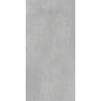 Плитка Mountain silver 25x50