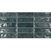 Ecoceramic Плитка Pool Blue 31,6x60