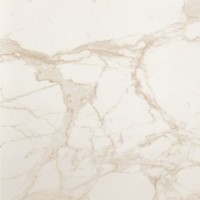 Керамогранит Roma Diamond Calacatta 120x120