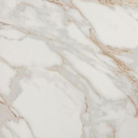Керамогранит Roma Gold Calacatta Oro Brillante 80x80