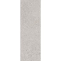 Плитка Риккарди серый светлый матовый обрезной 40x120