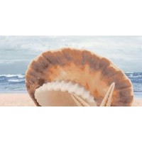 Декор Аликанте Жемчужина на море Верх 25x50
