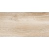 NewTrend Плитка Artwood 30x60 WT36AOD08 WT36AOD08