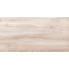 NewTrend Плитка Play Wood 30x60 WT36PLY08