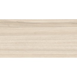 Плитка Essense Beige 24,9x50