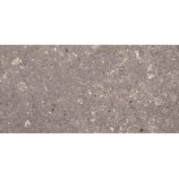 Плитка Aragorn Grys 30x60