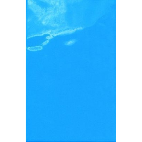 Сокол Плитка Универсальная синяя 20x33 A8 A8