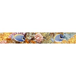 Бордюр Alba Reef 4,5x30