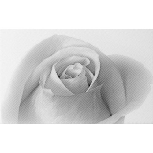 Unitile (Шахтинская плитка) Декор Камелия 01 25x40 