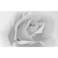 Декор Камелия 02 25x40