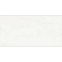 Керамогранит Charme Deluxe Floor Project Bianco Michelangelo cerato rett 60x120
