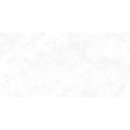 Керамогранит Riga White 30x60