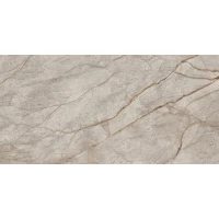 Керамогранит Empire Silver Root Lappato 60x120