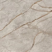 Керамогранит Empire Silver Root Matt 60x60
