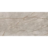 Керамогранит Empire Silver Root Matt 80x160