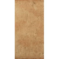 Керамогранит Riabita il Cotto Classic 10x20