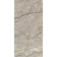 Керамогранит Anima Futura Amazing Silver Lucido 60x120