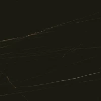 Керамогранит Stones & More 2.0 Stone sahara noir glossy 10 mm 60x60