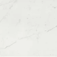 Керамогранит Timeless Calacatta Naturale 60x60