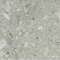 Керамогранит Timeless Ceppo di gre Lucido 60x60