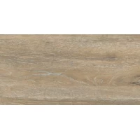 Керамогранит Dream Wood DW 02 30,6x60,9