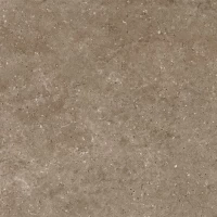 Керамогранит Аркаим G214 Коричневый матовый 60x60
