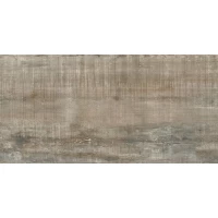 Керамогранит Граните Вуд Эго Серый SR 60x120