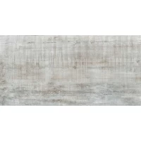 Керамогранит Граните Вуд Эго Светло-серый SR 60x120