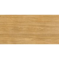 Керамогранит Граните Вуд Классик Медовый LMR 60x120