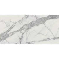 Керамогранит Charme Evo Floor Project Statuario Rett 60x120