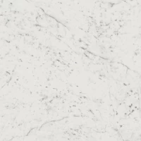 Керамогранит Charme Extra Floor Project Carrara Люкс 59x59