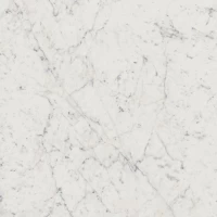 Керамогранит Charme Extra Floor Project Carrara Люкс 60x60