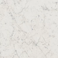 Керамогранит Charme Extra Floor Project Carrara Натуральная 60x60