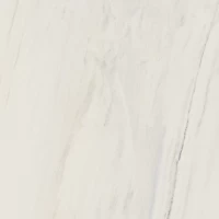 Керамогранит Charme Extra Floor Project Lasa Люкс 60x60