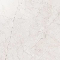 Керамогранит Контемпора X2 Пур 60x60