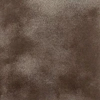 Керамогранит Fusion Bronze Lap. Liscia 49x49