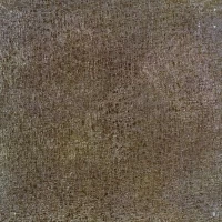 Керамогранит Fusion Bronze Lap. Strutt. 49x49