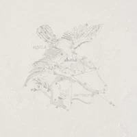 Декор Pietra Lavica Decoro Aquila Arenal 49x49