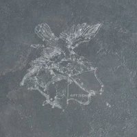 Декор Pietra Lavica Decoro Aquila Fuligo 49x49