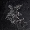 La Fabbrica Декор Pietra Lavica Decoro Aquila Gryphea 49x49 L911