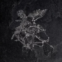 Декор Pietra Lavica Decoro Aquila Gryphea 49x49
