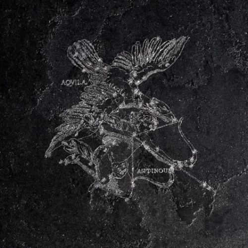 La Fabbrica Декор Pietra Lavica Decoro Aquila Gryphea 49x49 L911