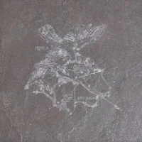 Декор Pietra Lavica Decoro Aquila Nebula 49x49