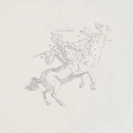 Декор Pietra Lavica Decoro Centauro Arenal 49x49
