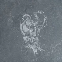 Декор Pietra Lavica Decoro Orione Fuligo 49x49