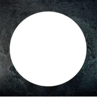 Декор Pietra Lavica Discus Gryphea 49x49