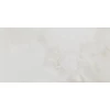 Pamesa Ceramica Керамогранит Cr.Amarna Shell Leviglass 60x120 