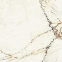 Керамогранит Luce Oro Satin 60x60