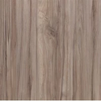 Lounge Acoustic 15,24x91,44
