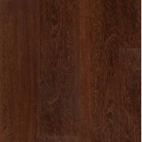 New Age Elysium 15,24x91,44